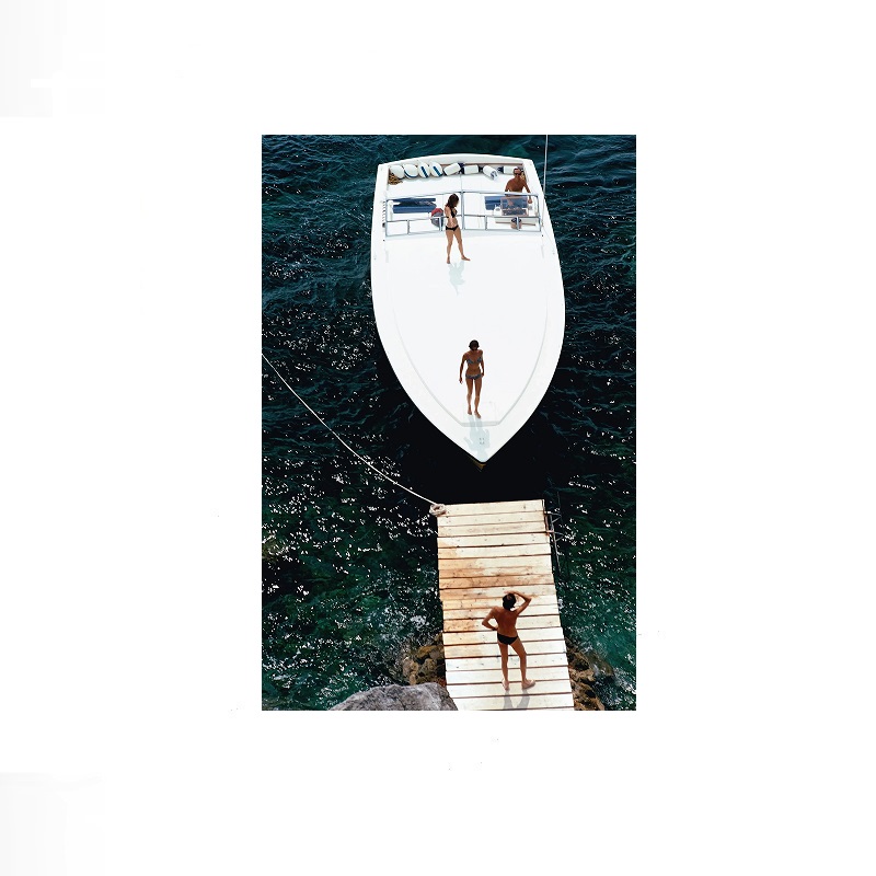Retro Poolside Host Luxury Lif - Luxury Lifestyle Picture reseña y precio